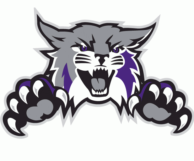 Weber State Wildcats 2012-Pres Alternate Logo iron on transfers for fabric
